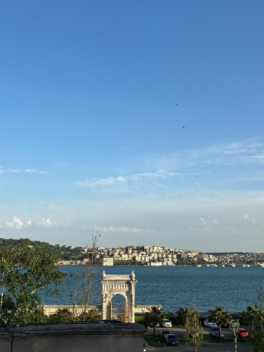 yigitov3's tweet photo. yeşili ve mavisi https://t.co/nECrXPK5kN