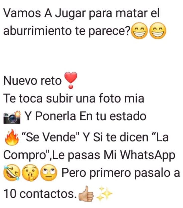 alba lvs sofi.ᐟ𝜗ৎ tweet media