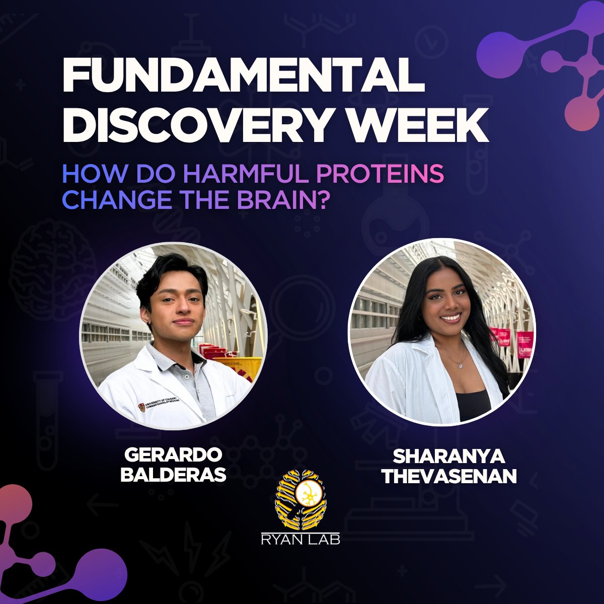 HotchkissBrain's tweet photo. Your brain runs a constant cleanup operation 🧹When it fails, toxic proteins accumulate &amp; spread, linking it to neurogenerative diseases.

Trainees Gerardo &amp; Sharanya in @RyanLab_UofC  are studying how these molecular changes begin. Read their full Q&amp;A's: https://t.co/hBlAYXwqse https://t.co/W4MiGbXjq4