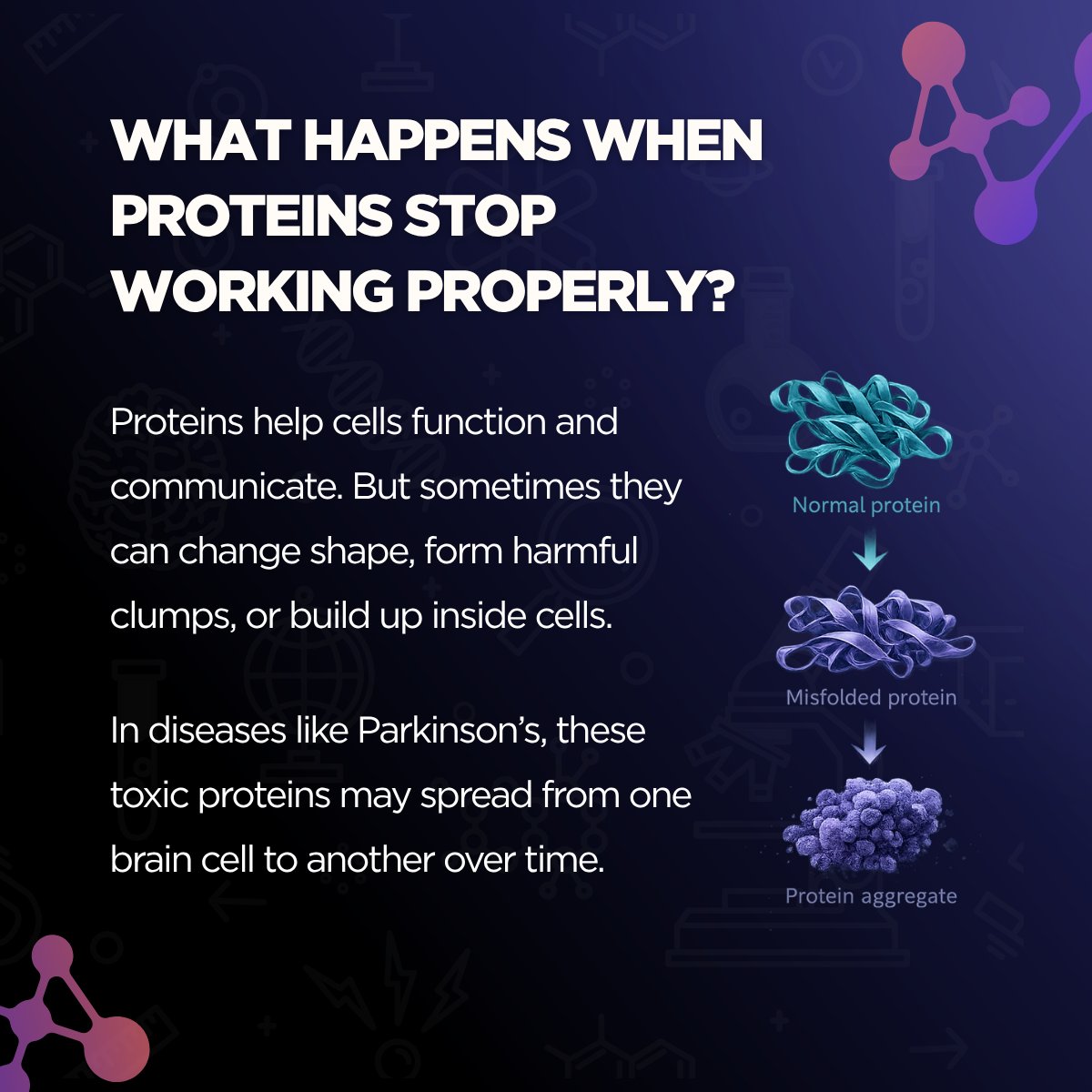 HotchkissBrain's tweet photo. Your brain runs a constant cleanup operation 🧹When it fails, toxic proteins accumulate &amp; spread, linking it to neurogenerative diseases.

Trainees Gerardo &amp; Sharanya in @RyanLab_UofC  are studying how these molecular changes begin. Read their full Q&amp;A's: https://t.co/hBlAYXwqse https://t.co/W4MiGbXjq4