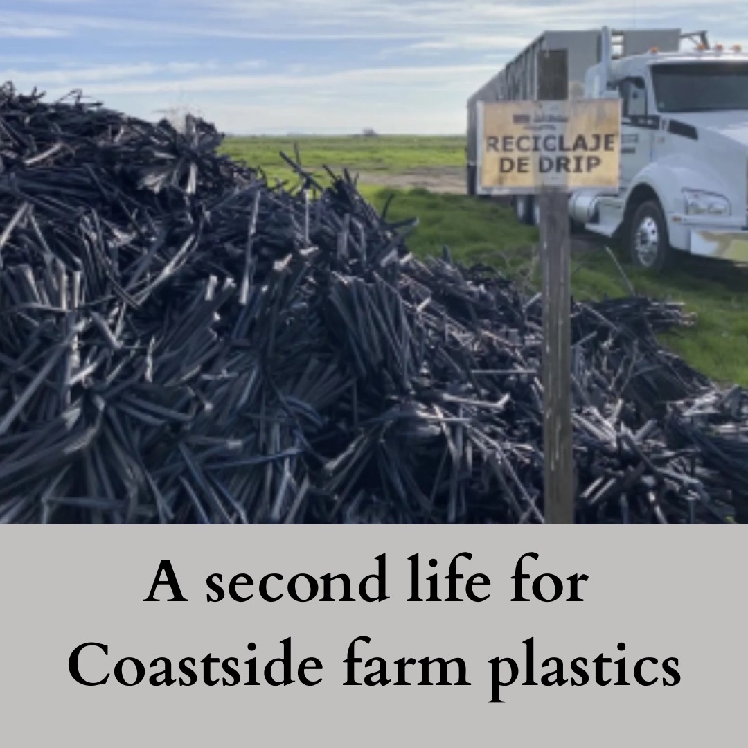 CNGI_news's tweet photo. Resource Conservation District’s regional recycling effort diverted more than 41,000 pounds of used drip tape and other farm plastics this year. Read the full story by Kathryn Wheeler at https://t.co/e8eLyT8wEu https://t.co/Ay6gljHUJ7