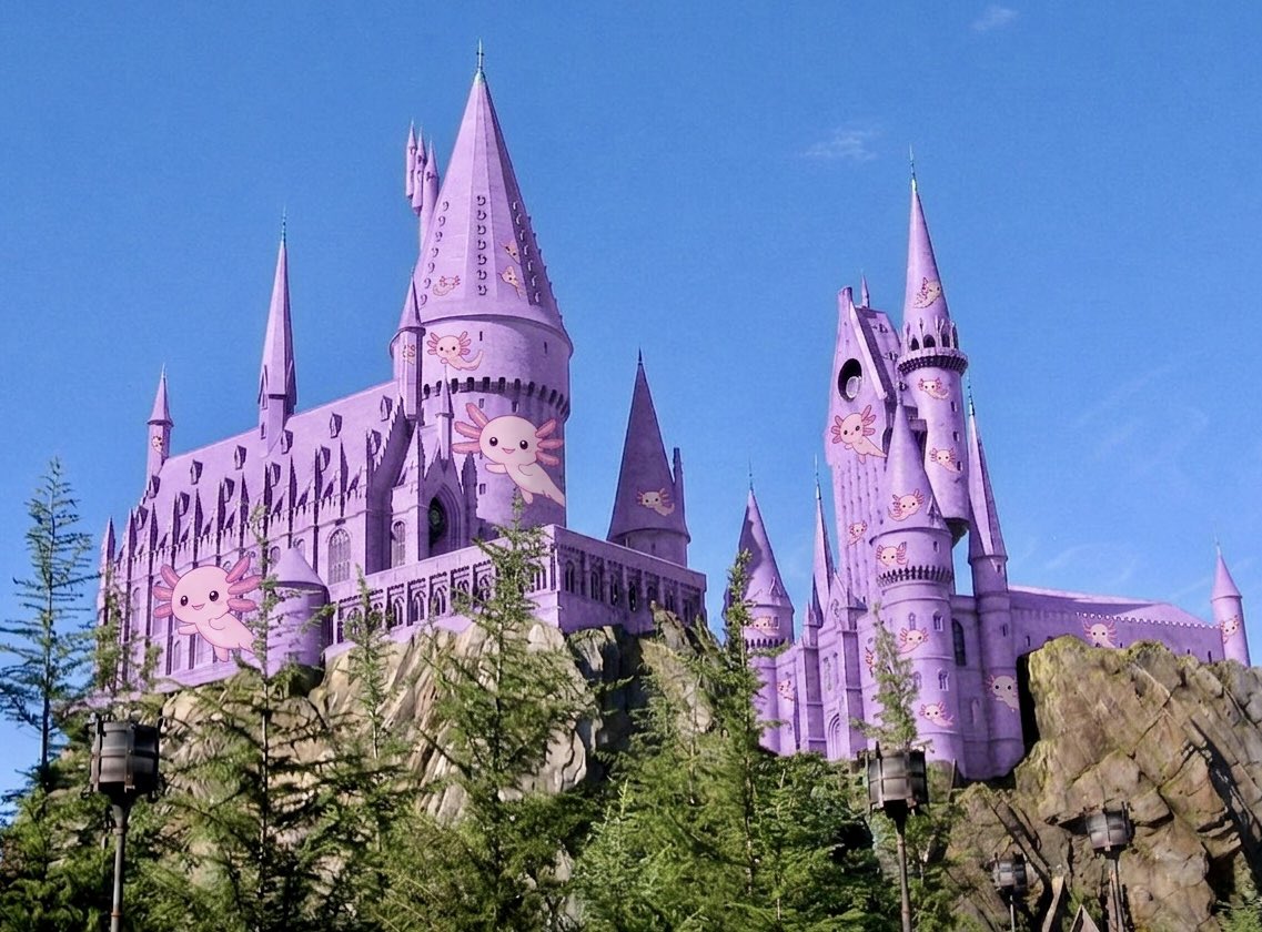Club Potterhead. tweet media