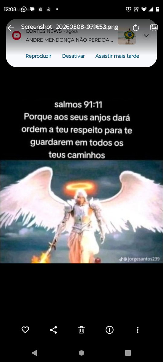 InalbaSolteira! Temente a Deus O nosso Criador 🕊 tweet media
