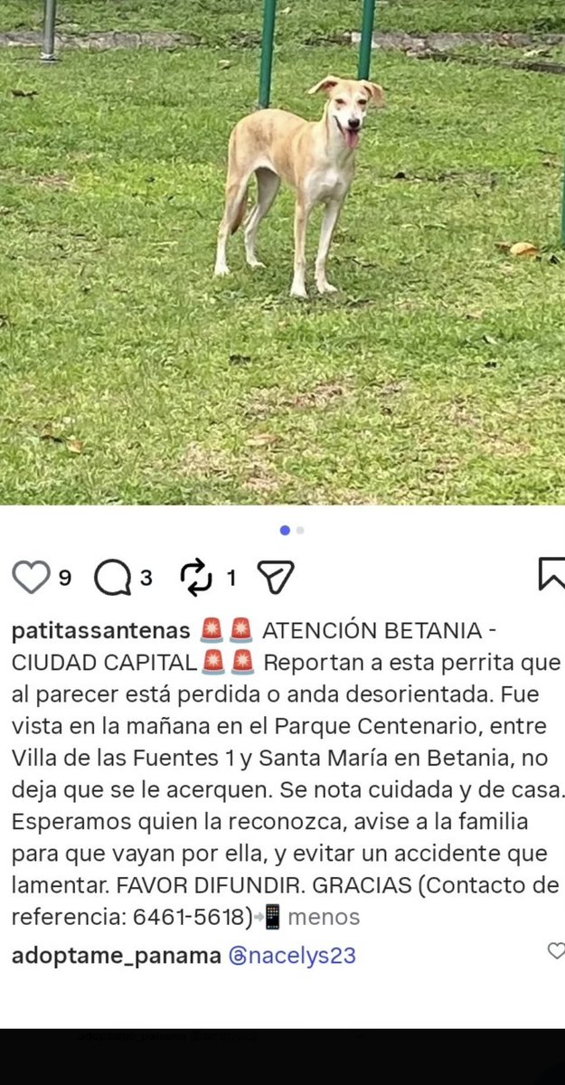 Ivette Berrio tweet media