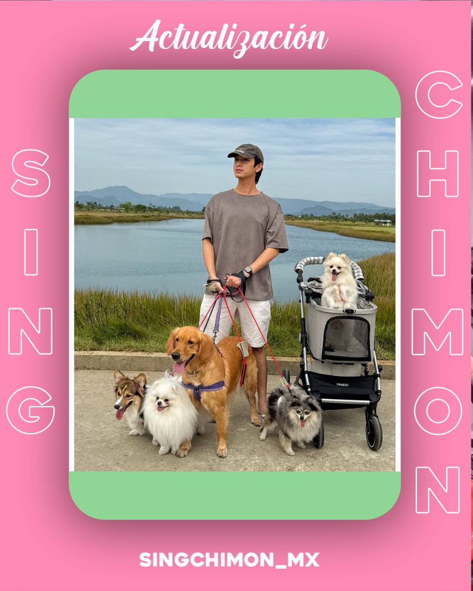 SingChimon Mx tweet media