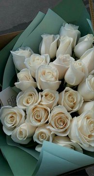 ابو راكان tweet media