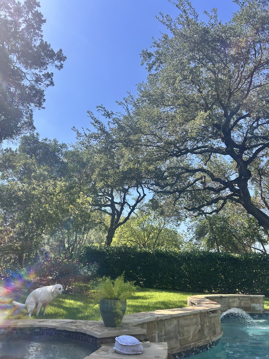 CorbinWam's tweet photo. Beautiful afternoon isn’t it? https://t.co/F6p1itHbGj