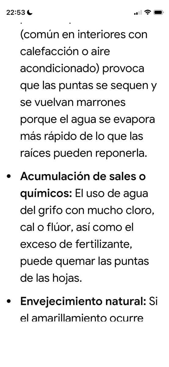 Vera tweet media