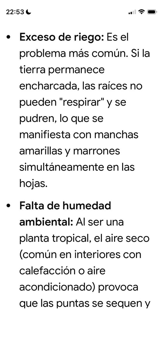Vera tweet media