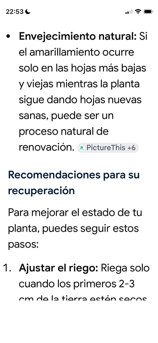 Vera tweet media