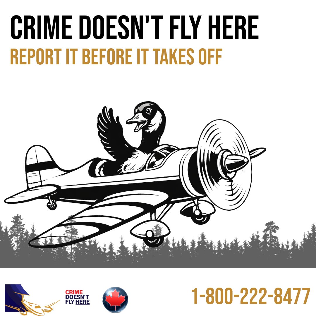CanStopCrime's tweet photo. Air travel in Canada depends on more than just airports; it’s a coordinated network of aviation professionals, air traffic control, and law enforcement working together to keep our skies safe.
Submit tips anonymously to Crime Stoppers at 1-800-222-8477 https://t.co/yF0Jve6G0B