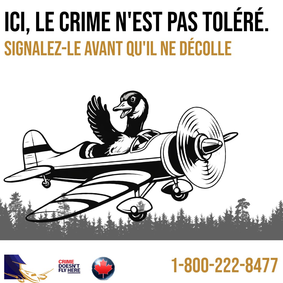 CanStopCrime's tweet photo. Air travel in Canada depends on more than just airports; it’s a coordinated network of aviation professionals, air traffic control, and law enforcement working together to keep our skies safe.
Submit tips anonymously to Crime Stoppers at 1-800-222-8477 https://t.co/yF0Jve6G0B