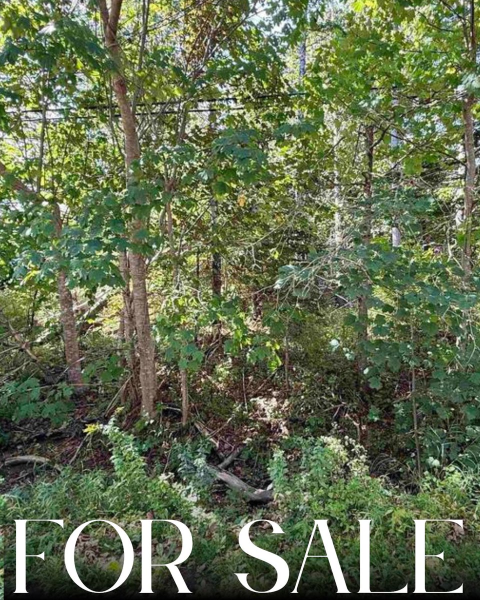 CooksRealEstate's tweet photo. 📍 Lot 2 Green Bay Road, Green Bay, NS
$115,000
MLS ® 202610683

𝐋𝐢𝐬𝐭𝐢𝐧𝐠 𝐝𝐞𝐭𝐚𝐢𝐥𝐬 𝐡𝐞𝐫𝐞: https://t.co/GnD58kQh8Z

Ryan 𝐂𝐨𝐨𝐤
Sales Representative
EXIT Realty Inter Lake
https://t.co/dIg4kstdJF
(902) 521-0543

#Vacantland #NovaScotia #GreenBayNS https://t.co/jsBKqTKI9H