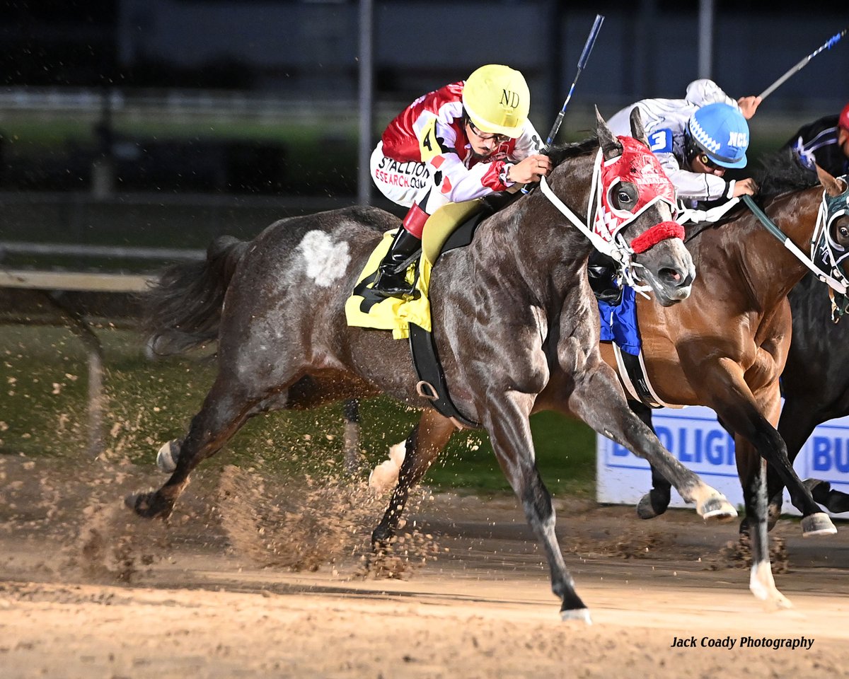 Sam Houston Race Park tweet media