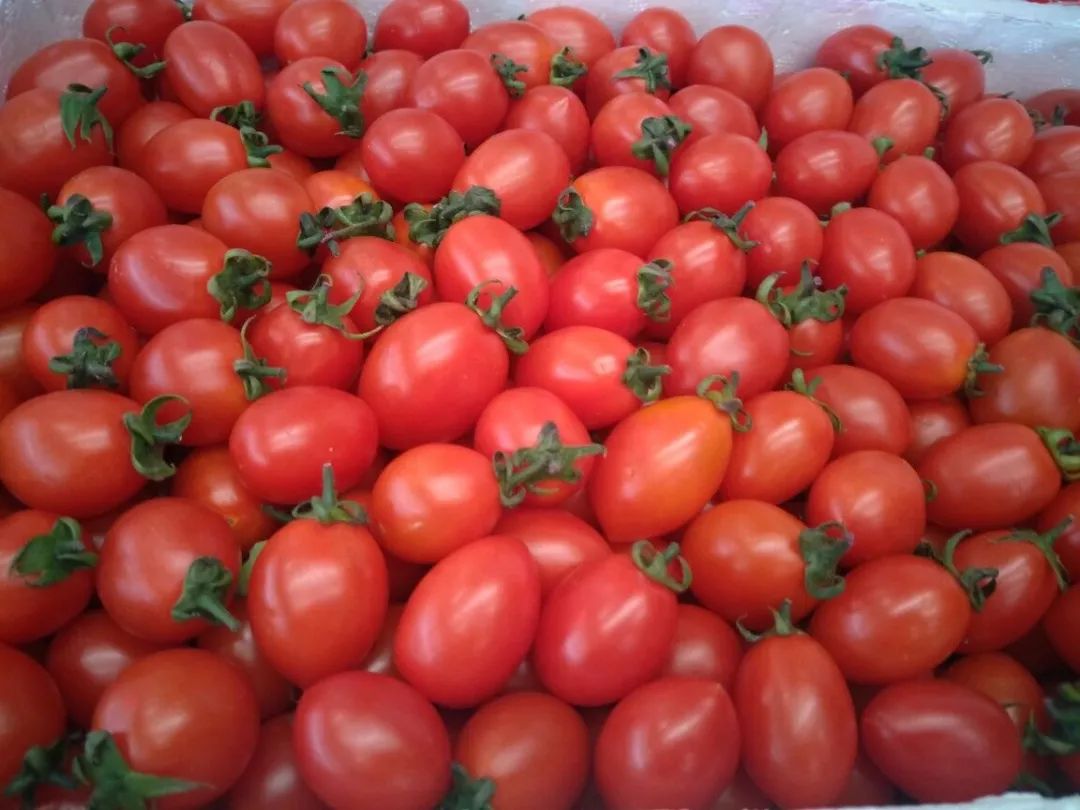 Jarred tweet media