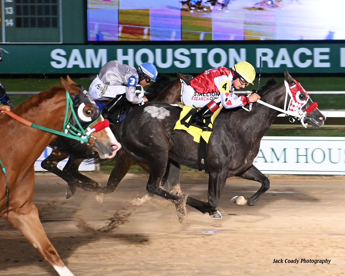 Sam Houston Race Park tweet media