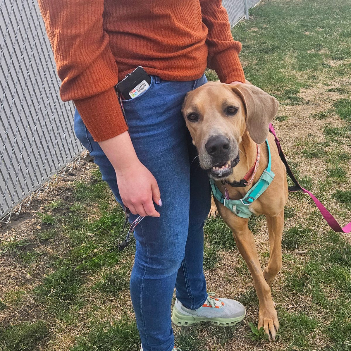 Edmonton Humane Society tweet media