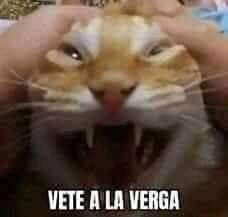VICR3Y tweet media