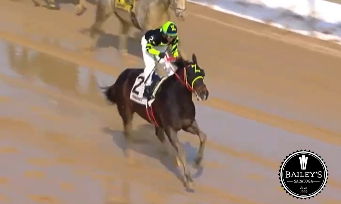 America’s Pastime Stables tweet media