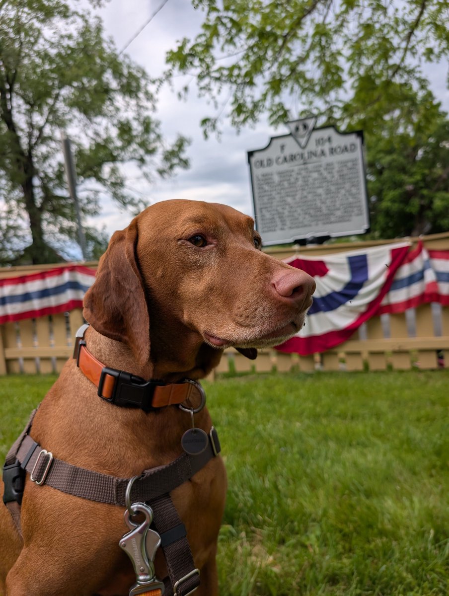 IntrepidPup's tweet photo. 🌎 #WITWW = a historical plaque in Lucketts, VA, for the Old Carolina Road. Once a Native American trade route, it became a colonial America thoroughfare from NC to PA. In May 1776, Thomas Jefferson traveled it to Philadelphia where he wrote the Declaration of Independence. https://t.co/NReF91jTNv