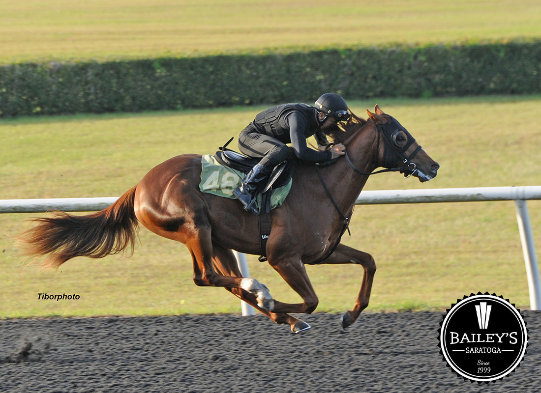 America’s Pastime Stables tweet media