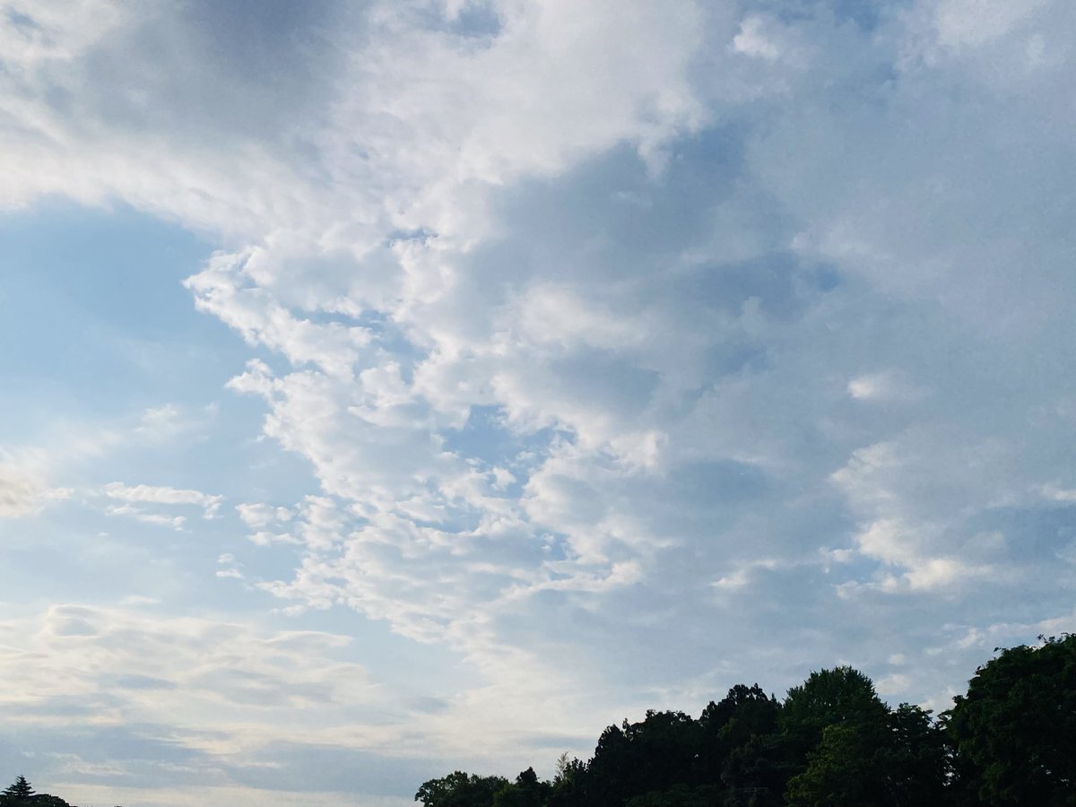 Youhei tweet media