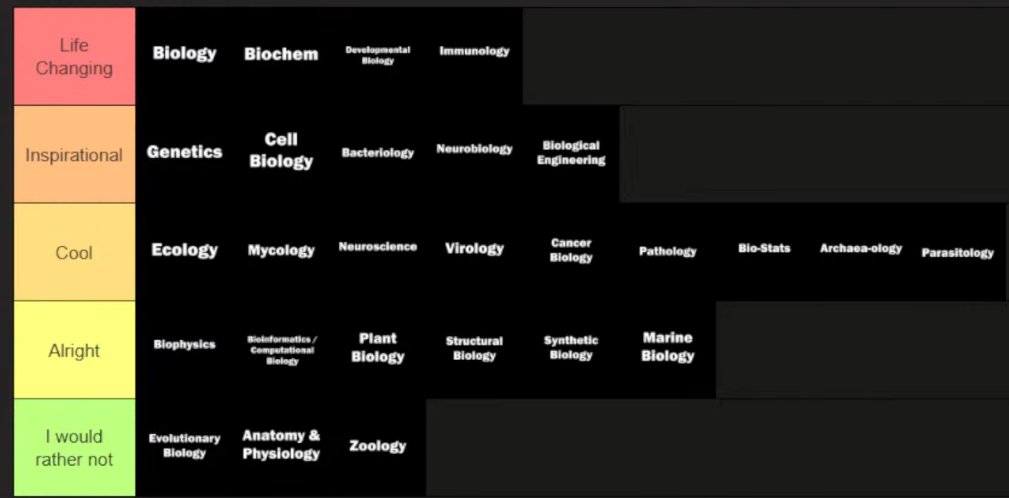 Phy the Neutrophil | Biology VTuber 🧬| VTheorem tweet media