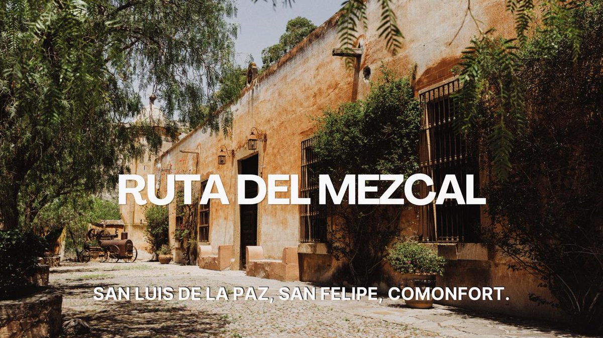 Visit México tweet media