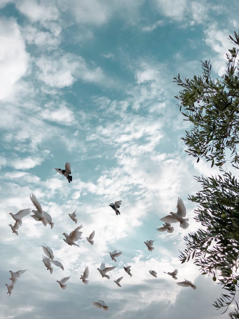 غيم | cloud tweet media