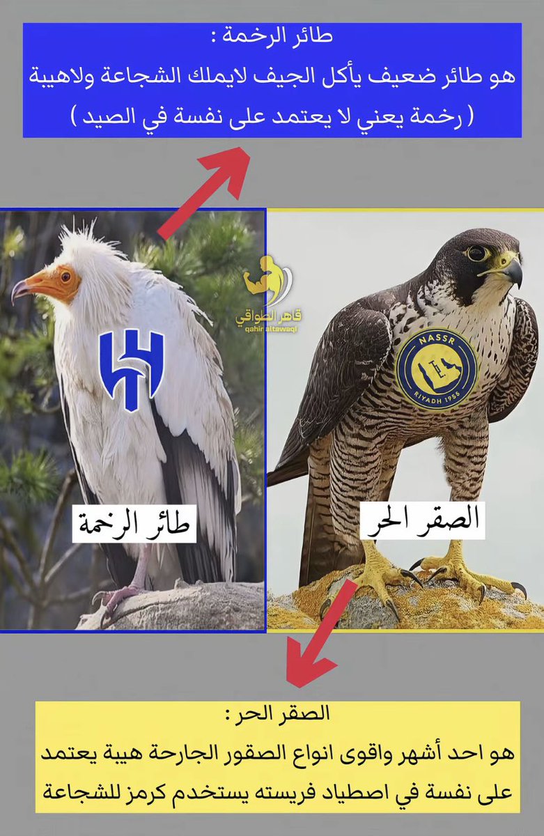 قمرنجد tweet media