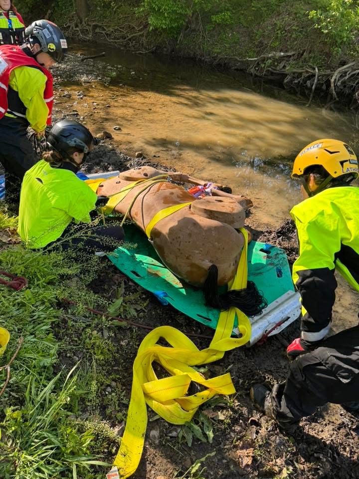Virginia Department of Fire Programs tweet media