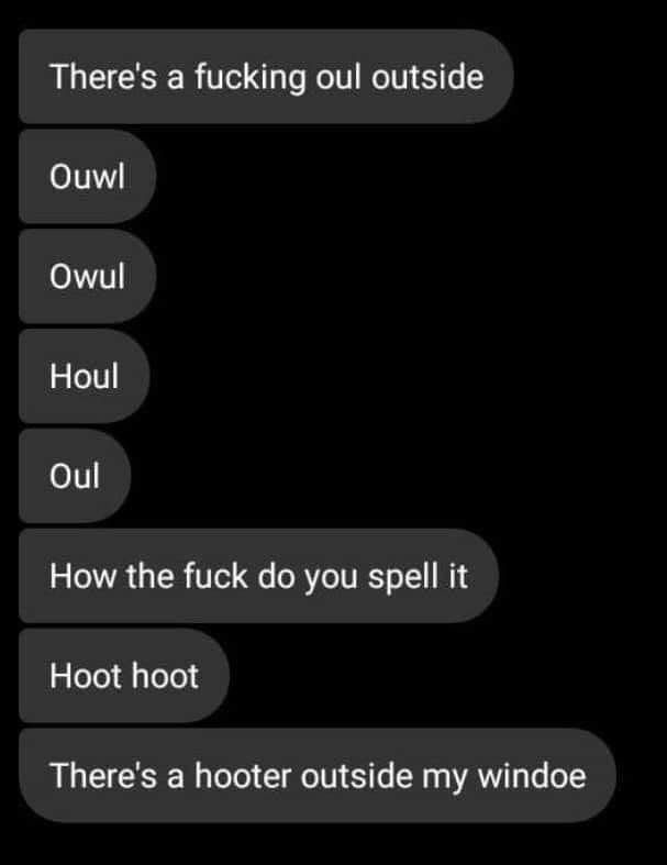 Wild Text Messages tweet media