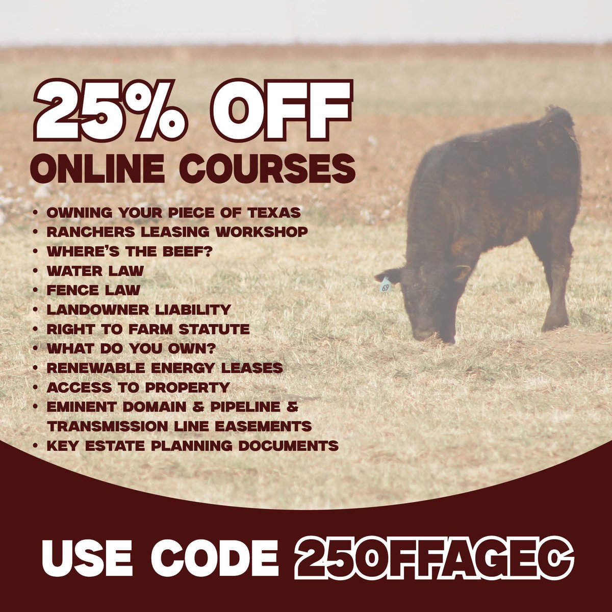 TiffDowell's tweet photo. Over the past month, we have been offering 25% off all of our online courses with code 25OFFAGEC at checkout. The sale will be ending in just one more week.
Don’t miss your chance to enroll in a course through AgriLife Learn before the discount ends: https://t.co/U7oRWOJItT https://t.co/rKzmfTaMTA