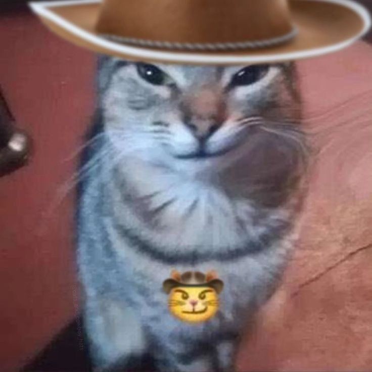 lademonxd tweet media