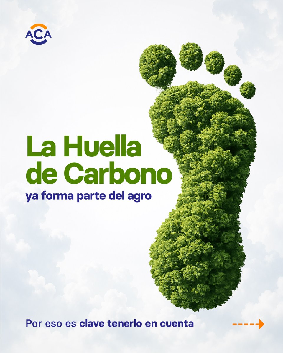 ACAcoop's tweet photo. 🌱 La huella de carbono ya forma parte de las decisiones del agro

Medir emisiones permite mejorar procesos, optimizar recursos y anticiparse a nuevas exigencias del mercado

🤝 En ACA acompañamos a los productores en este camino

Todos los detalles acá: https://t.co/AfNiqPvi9T https://t.co/7dgoBP8oXa