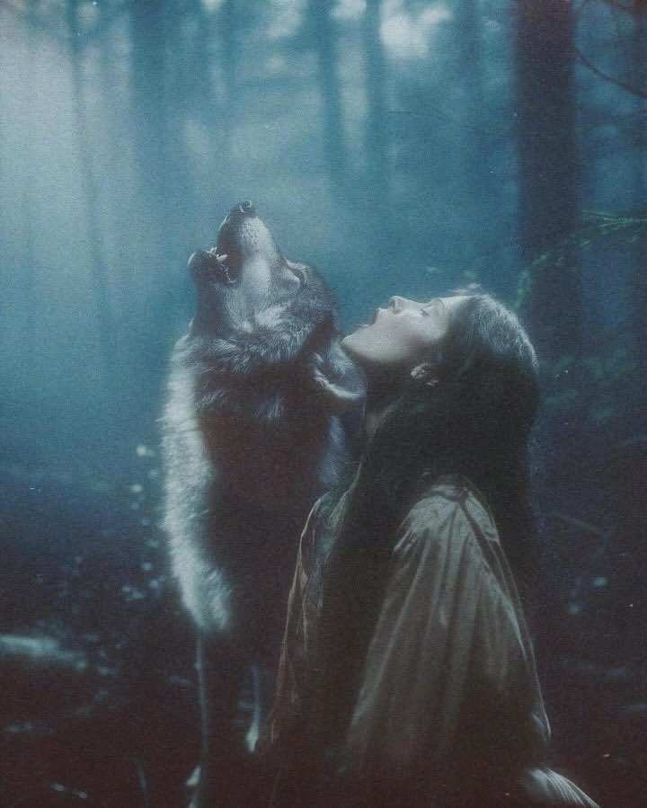 🐺 tweet media