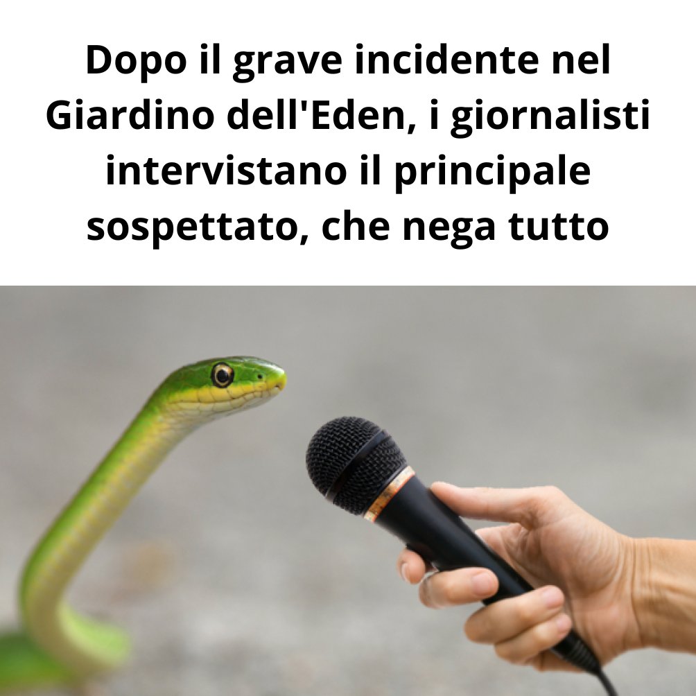 Dio tweet media
