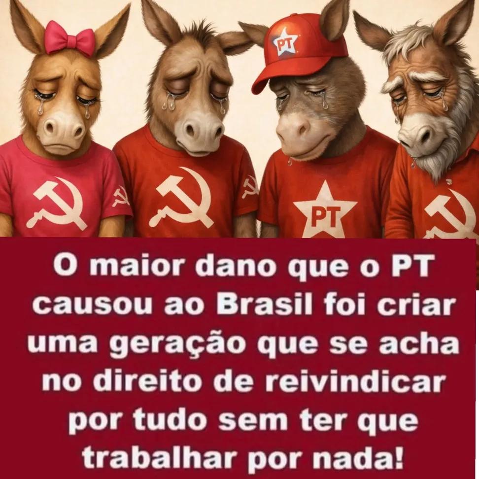 Arlindo costa tweet media