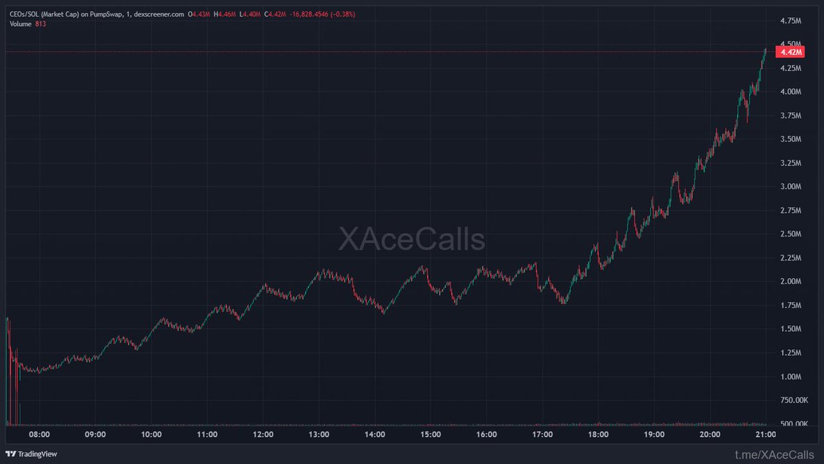 Whale IntelX tweet media