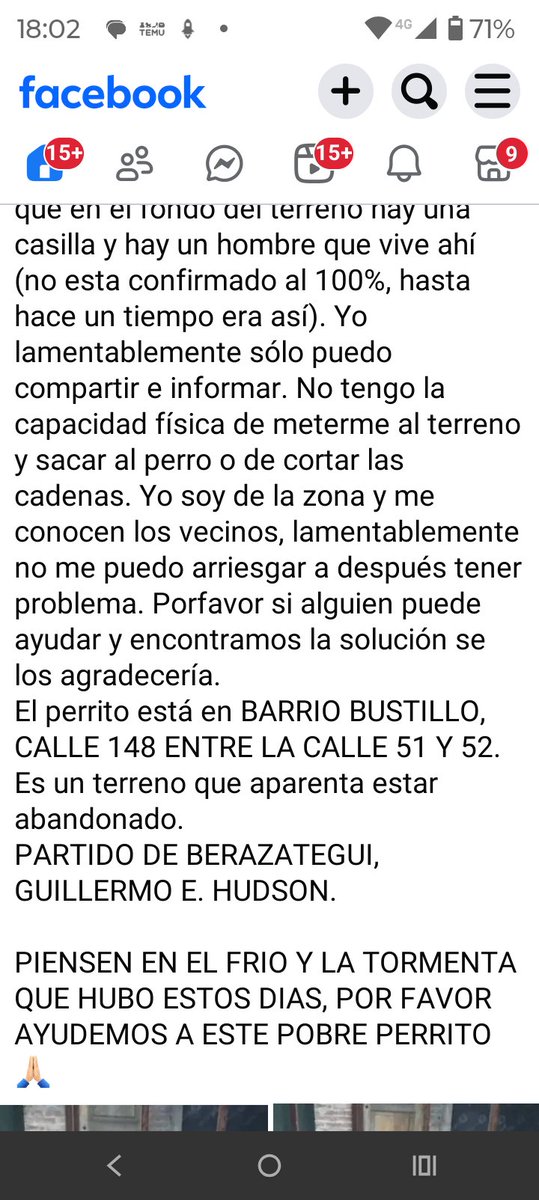 MIS AMIGOS DE 4 PATAS :) tweet media