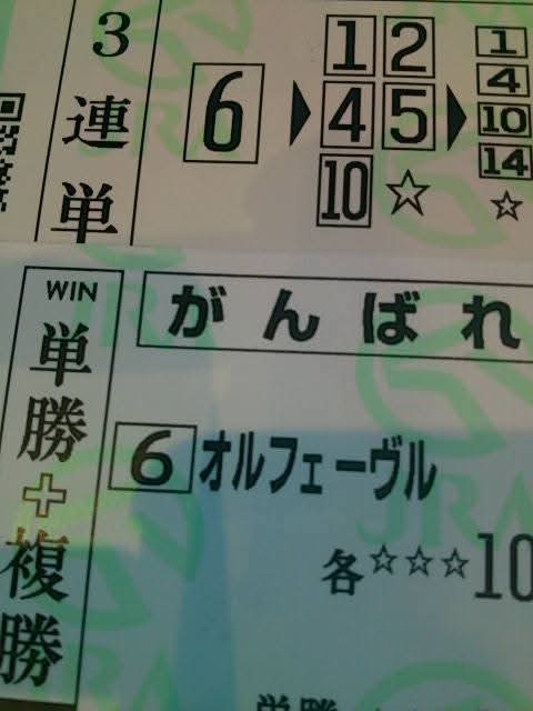 galop5523's tweet photo. オルフェーヴルの誕生日を記念して、当時指定席観戦できたので、その時の写真を掘り起こしました。
最初からスタンドいればもっといい位置で引退式見れたのに、ちょっと失敗だったかも💦 https://t.co/Sjec9W2bTM