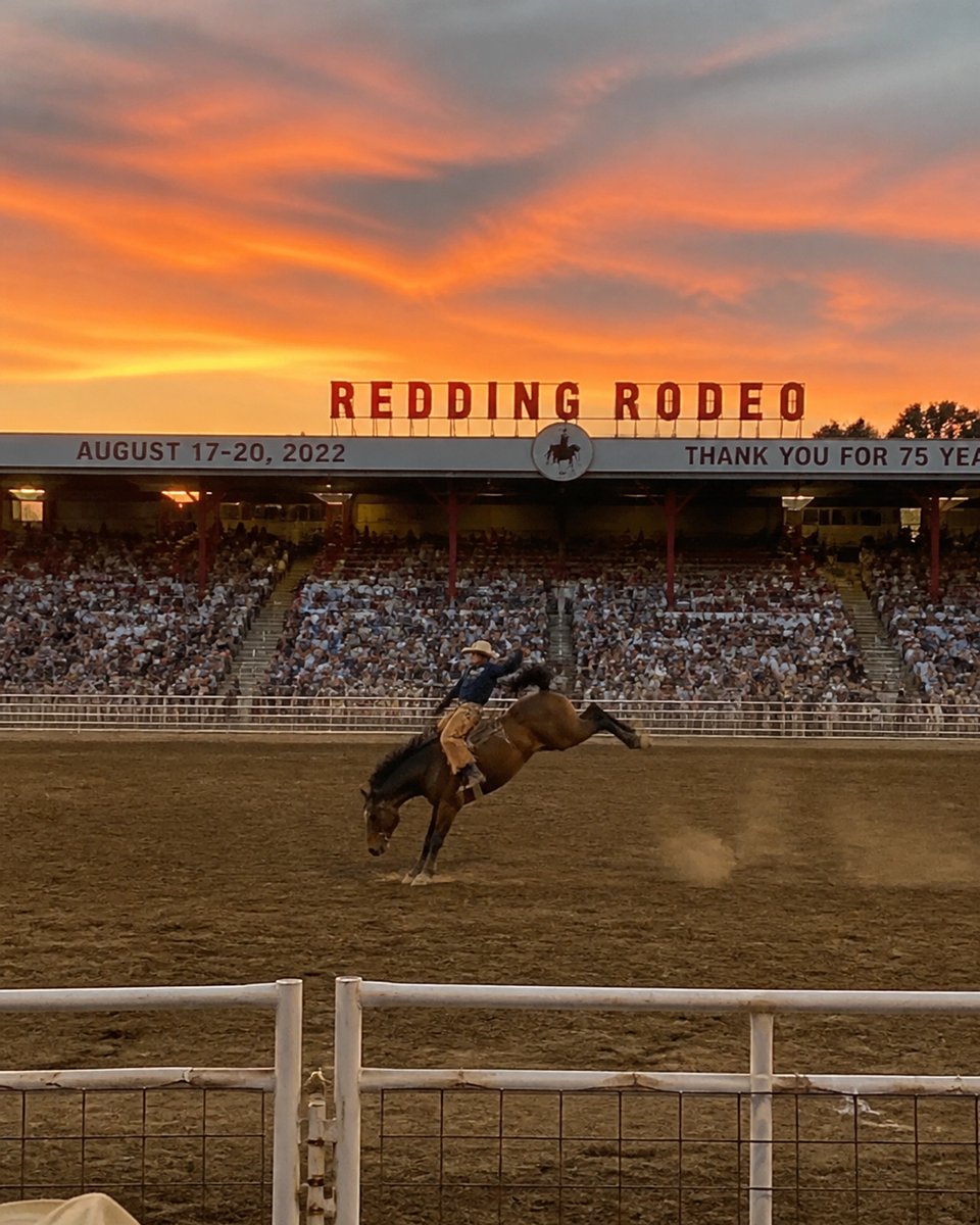 creativeshift23's tweet photo. 78 years of dust and "how is he still attached to that horse?" 🤠

The Redding Rodeo is pure North State soul. It’s legacy, adrenaline, and a bit of grit. Grab your boots: history is calling. (Spoiler: it’s loud). https://t.co/IgGxYSvu1Y