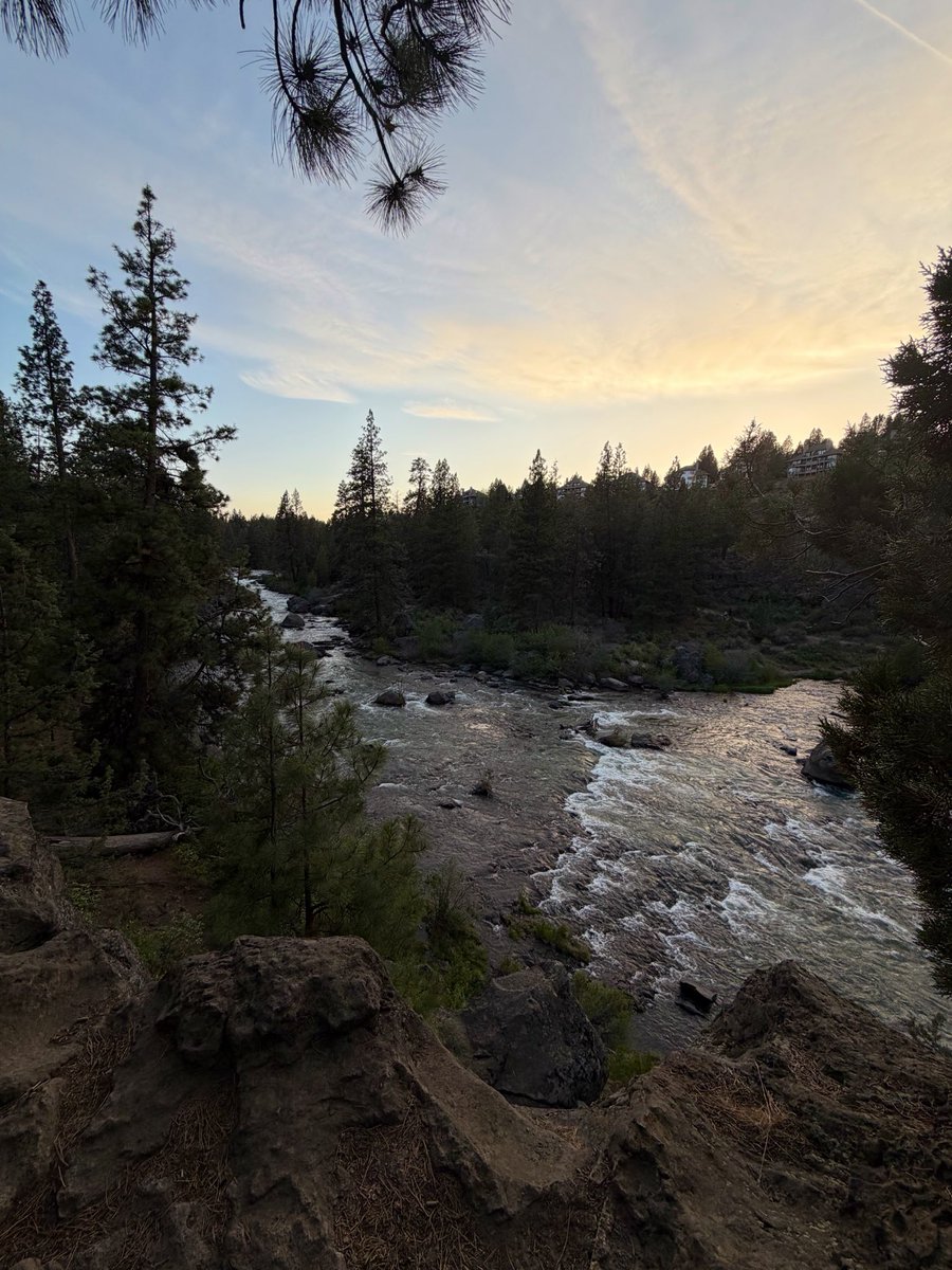 jerryfeng's tweet photo. been walking a lot more these days

helps that oregon is beautiful https://t.co/e6t10YPxf3