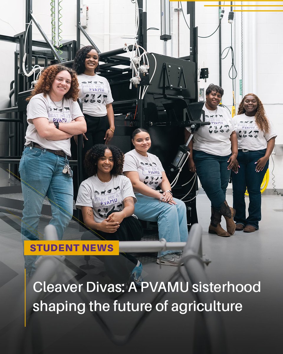 Prairie View A&M tweet media