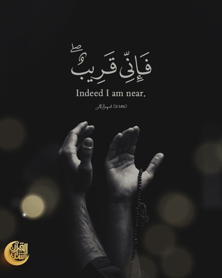 🦅Mohamed elhagar tweet media