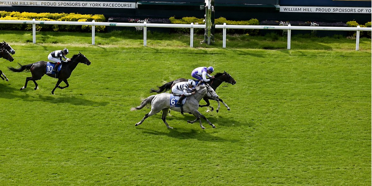 BackWinners's tweet photo. 🏇 A cracking winner on the opening day of York’s Dante Meeting as DARK THIRTY made all under @jasonhart13  at 11/1. The move to John & Sean Quinn could unlock another productive spell for the sprinter this summer 👀
👉 Full race thoughts & reaction: https://t.co/8X31pe12Yw 
#HorseRacing #DanteMeeting #YorkRaces #DarkThirty