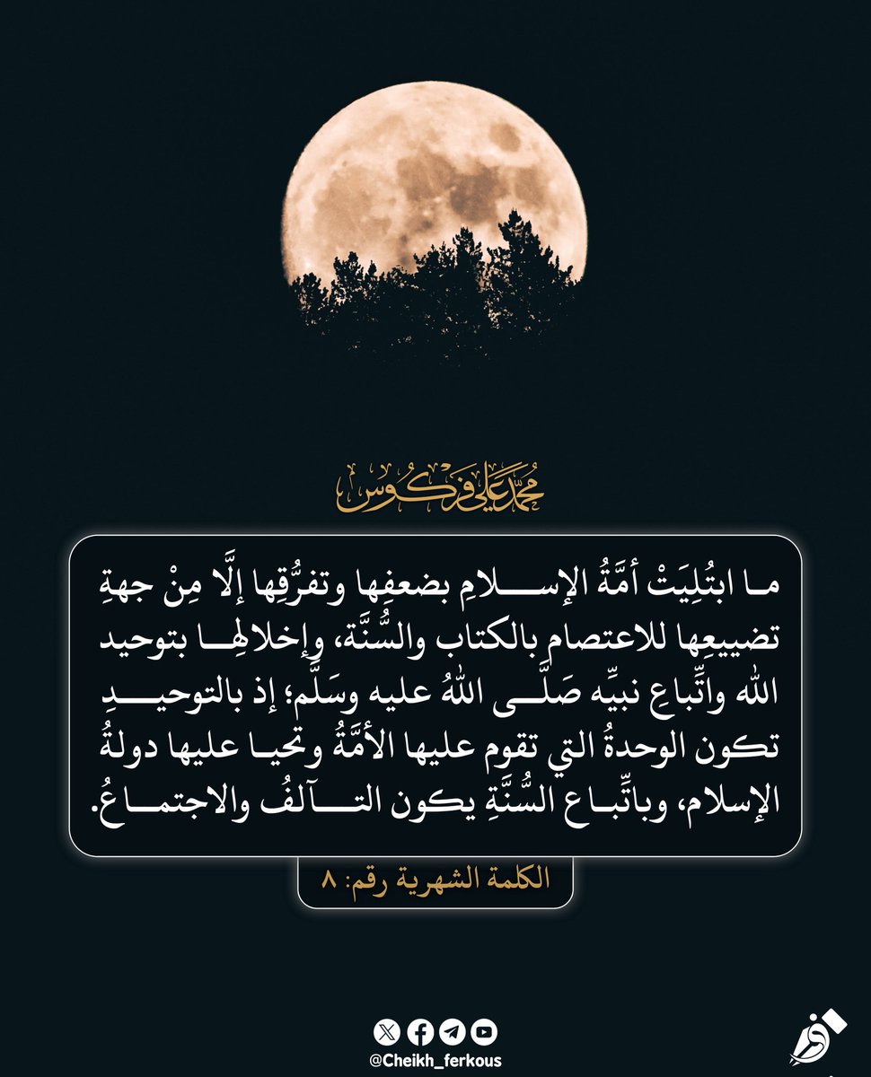 أ.د محمد علي فركوس tweet media