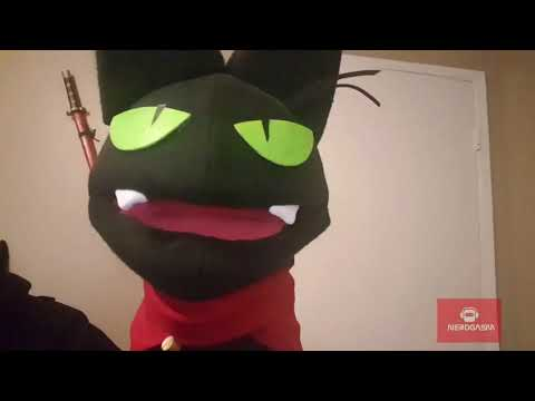 Kitty-catfox tweet media
