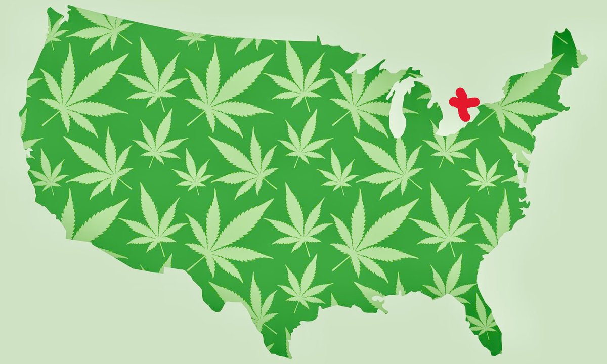 Mr B. 🇨🇦🌱🌿4:20 tweet media