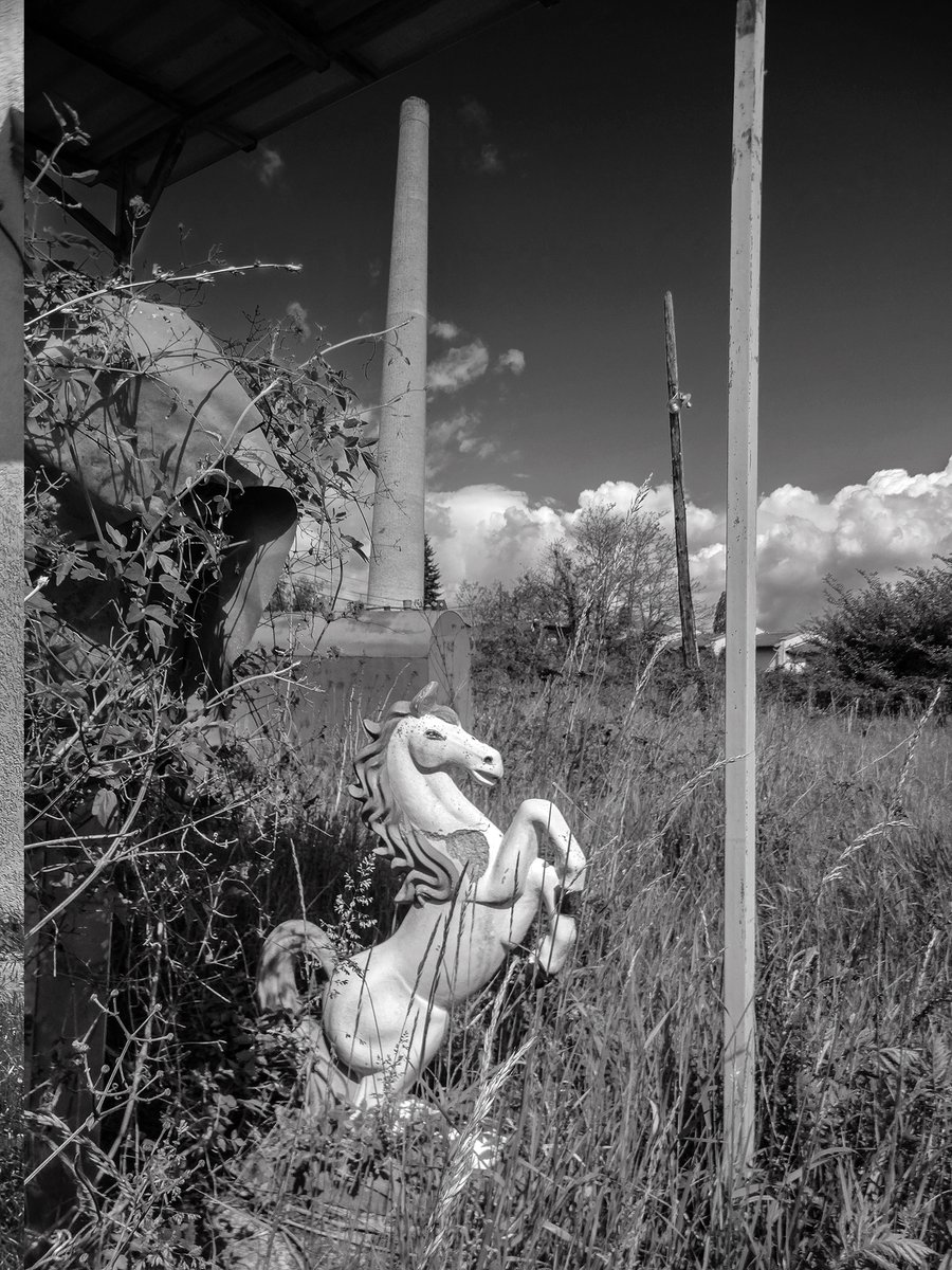 PhotoIvanM's tweet photo. Тhe landscape remembers what people tried to leave behind.
/
From a long-term documentary project on the fading traces of serbian identity in kosovo and metohija.

#blackandwhite #documentaryphotography #photojournalism #monochrome #bnwphotography #urbex #postindustrial 
#zvečan https://t.co/GNczqrFDqc